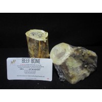 Beef Bone